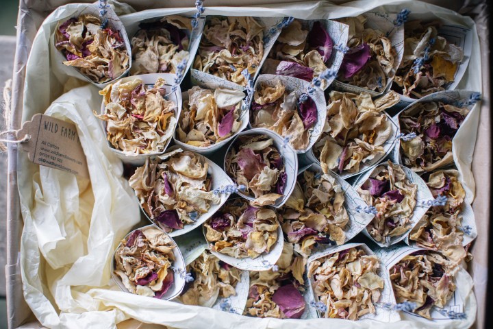 durlston castle jake moore photography (35)