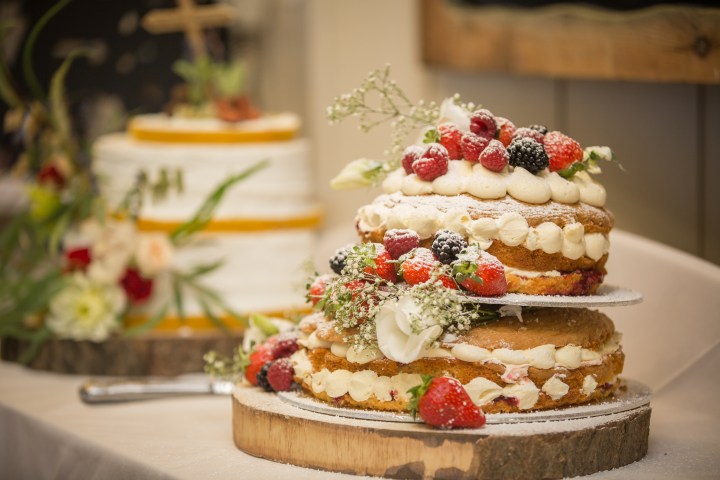 durlston castle jake moore photography (93)