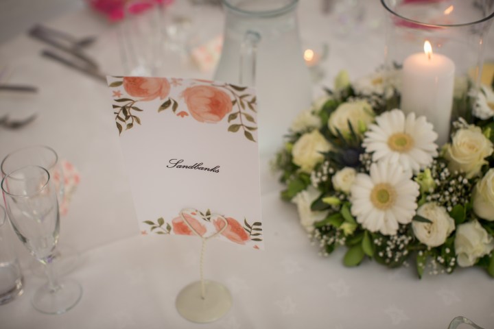 kingston maurward wedding (57)