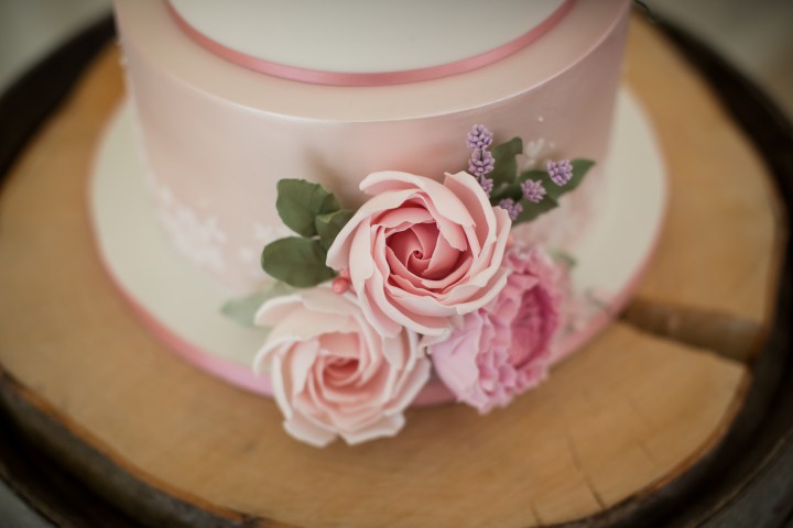 oborne country wedding (59)